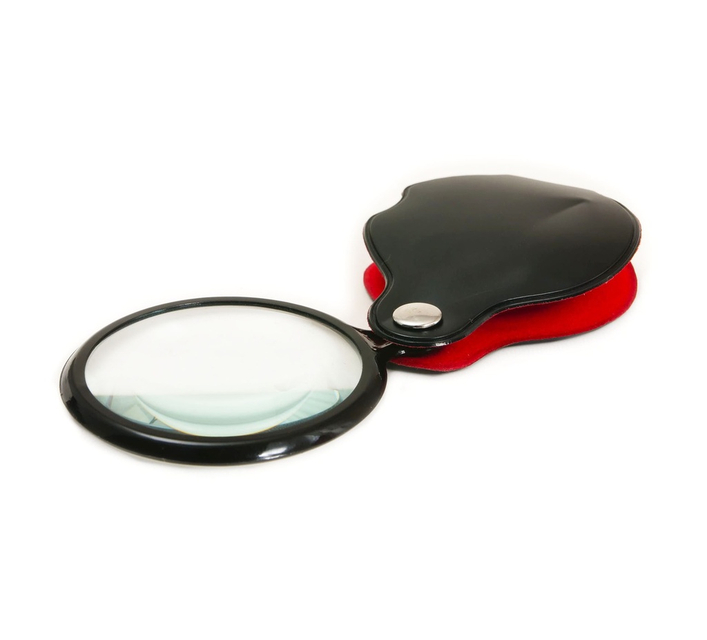 Adventurer's Magnifying Glass Educational Toy