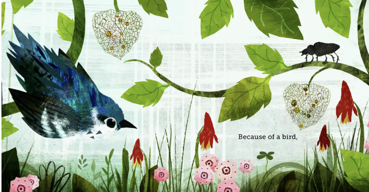 Because of An Acorn Children's Book - Lola M. and Adam Schaefer