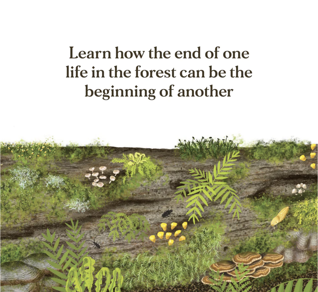 When A Tree Falls Children's Book - Kirsten Pendreigh