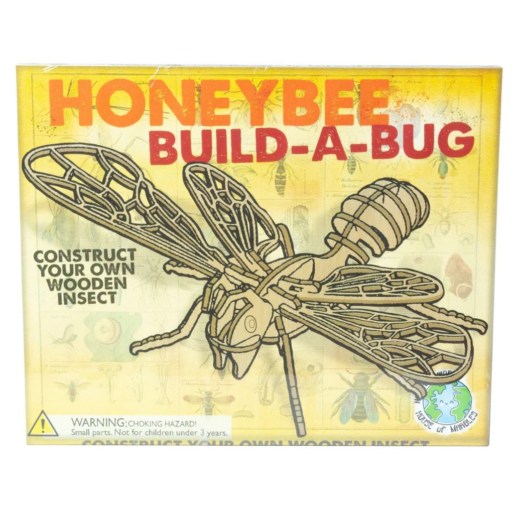 Build A Bug Model Kit