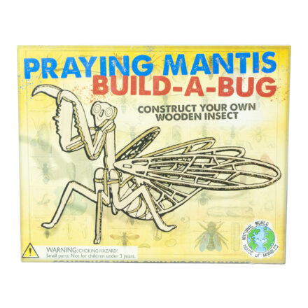 Build A Bug Model Kit