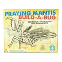 Build A Bug Model Kit