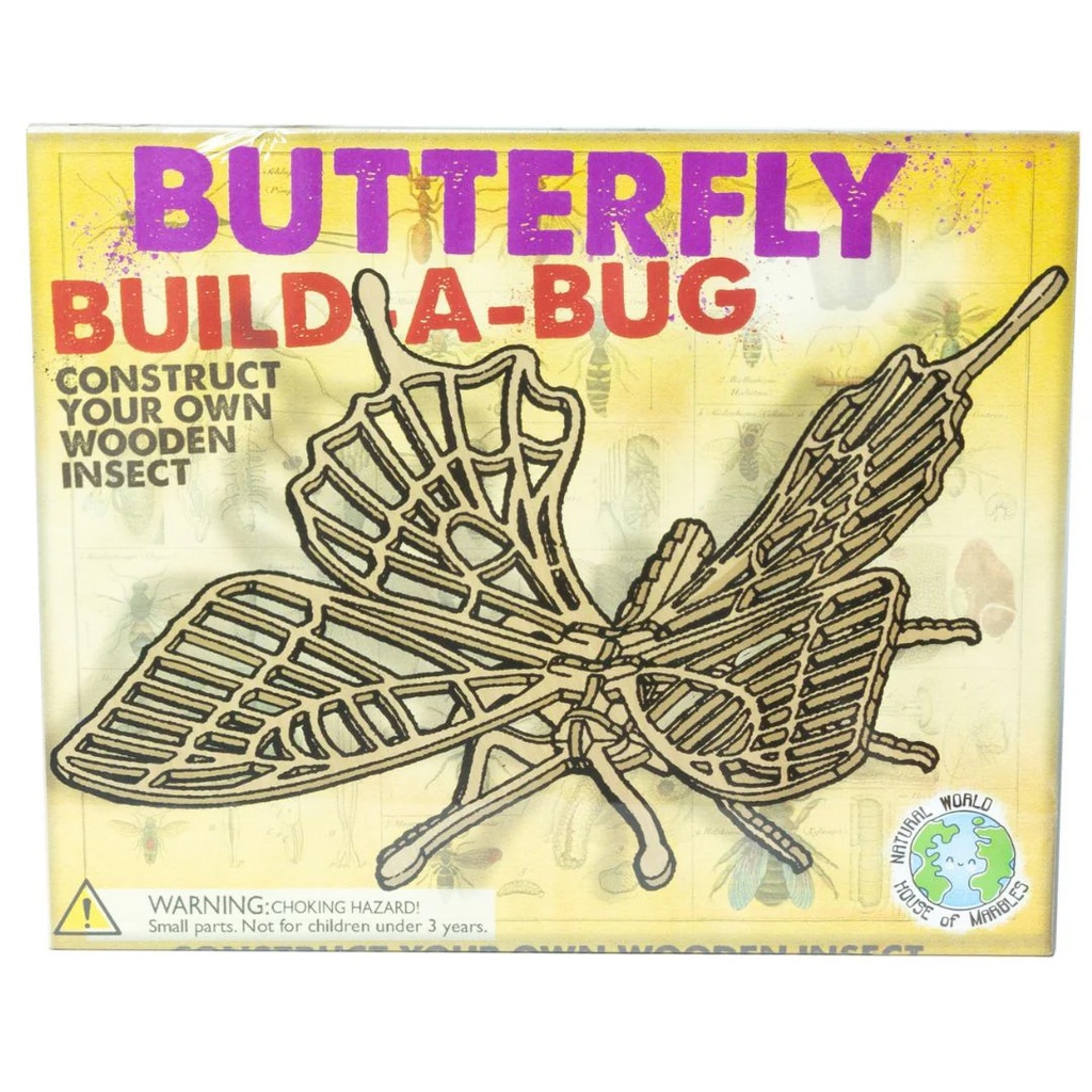 Build A Bug Model Kit