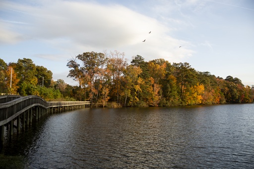 [DN42-UR] Park Donation