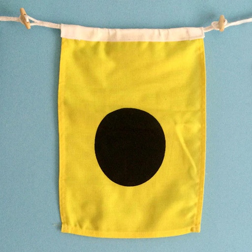 [FLAG I] Signal Flag I