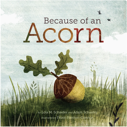 [9781452112428] Because of An Acorn Children's Book - Lola M. and Adam Schaefer